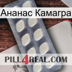 Ананас Камагра 08